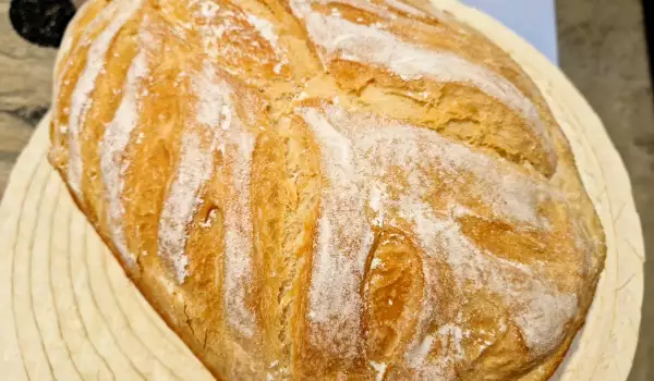 Pan greñado Art