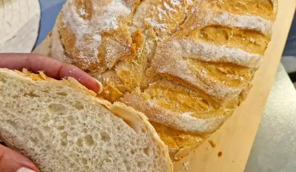 Pan greñado Art