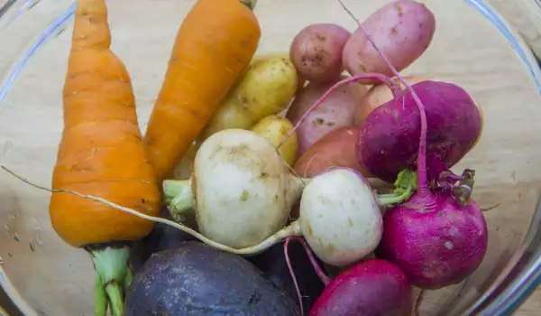¿Qué son las hortalizas de raíz (tubérculos)?