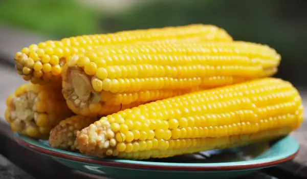 ¿Qué contiene el maíz?