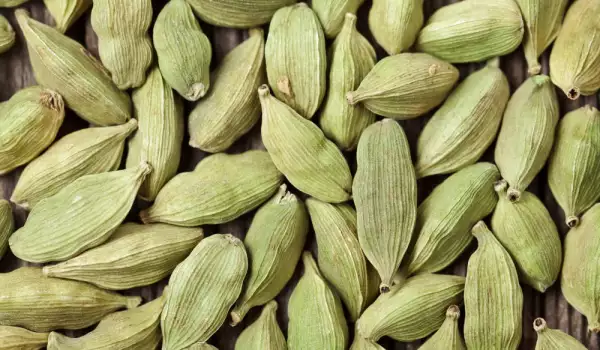 Cardamomo