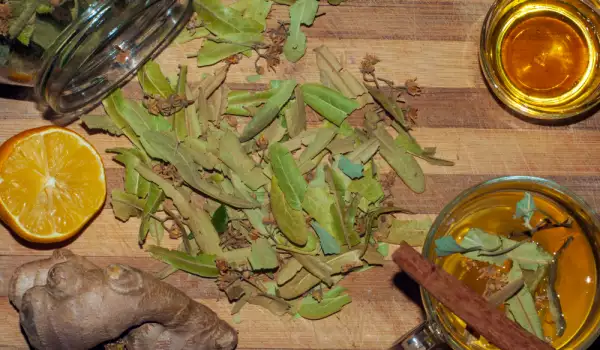 Té de tilo