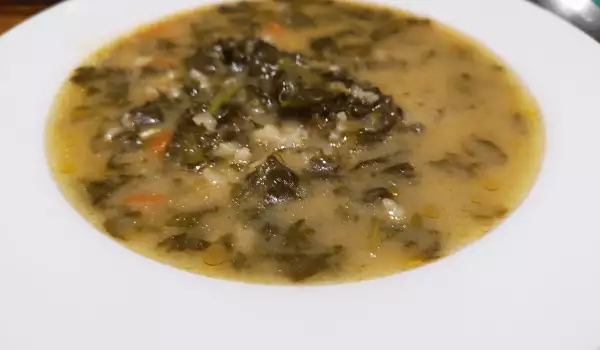 Sopa de espinacas frescas