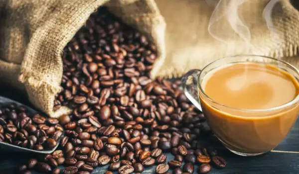 ¿Cuánto dura el café en grano?