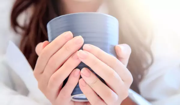 Infusión de estragón