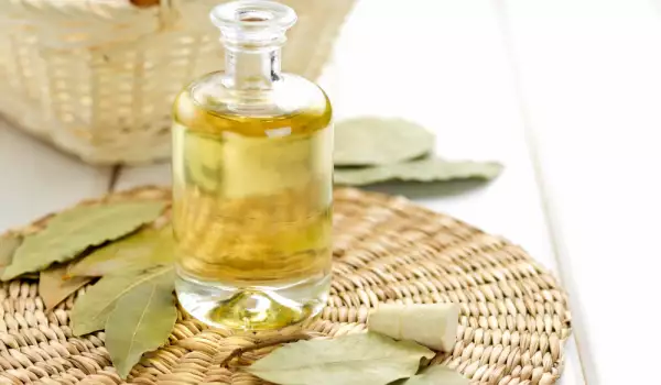 Aceite esencial del aceite de laurel