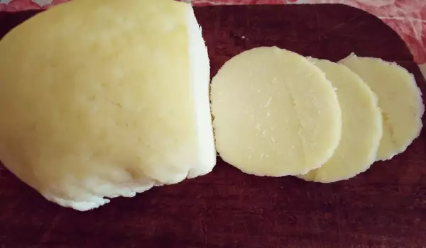 Mi exitosa receta de queso casero