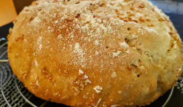 Pan de masa madre natural y quinoa