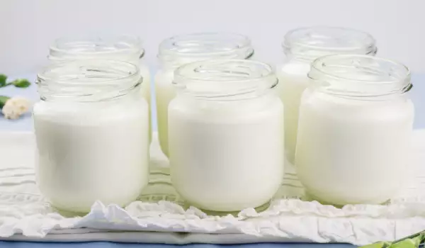 ¿Qué contiene el yogur?