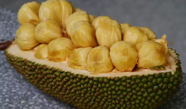 Fruta exótica Jackfruit