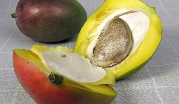 Mango - fruta