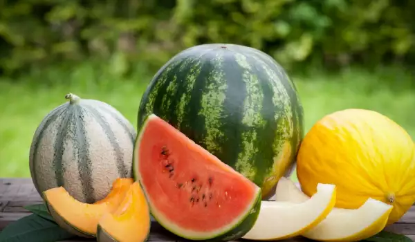 Helado fácil de melón o sandía