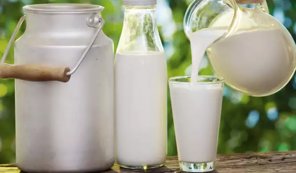 ¿Cómo hervir la leche fresca?