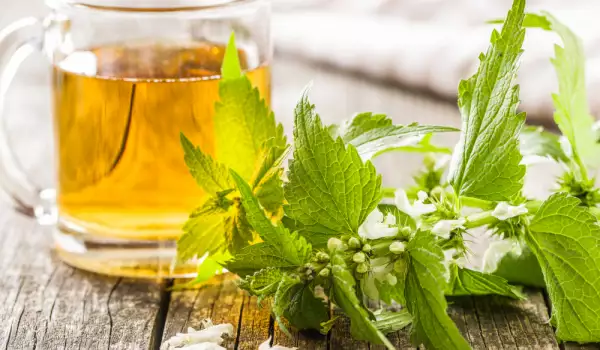 Infusión de ortiga