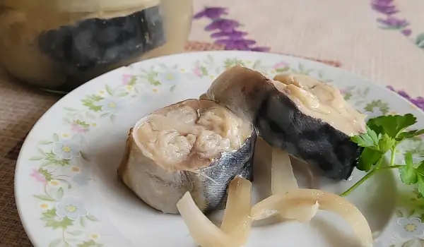 Caballa salada en salmuera