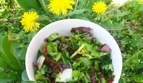 Lechuga Lollo Rosso