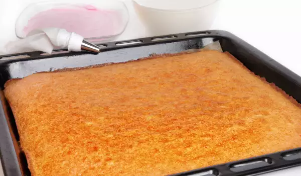 Plancha de bizcocho