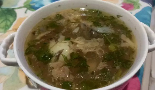 Sopa de carpa