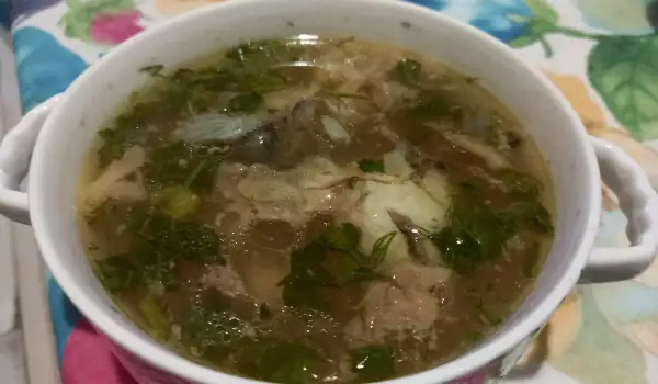 Sopa de carpa