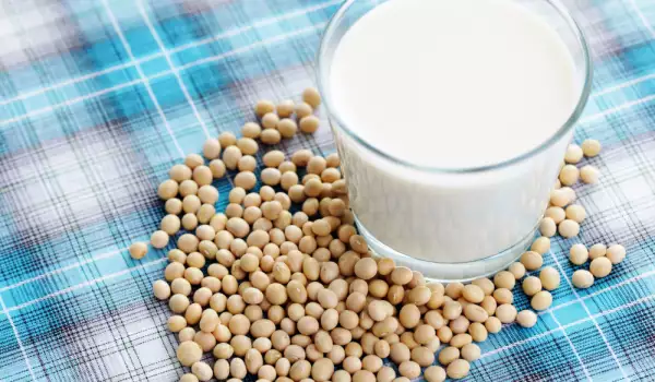 ¿Cuándo y cómo debemos tomar leche de soja?