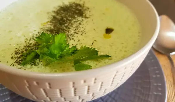 Sopa fría saludable con kéfir y cebolla
