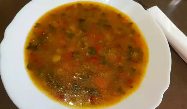 Sopa ligera de verduras con vinagrera
