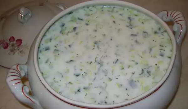 Tarator Tradicional (sopa fría de yogur y pepino)