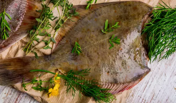 Preparación del Rodaballo