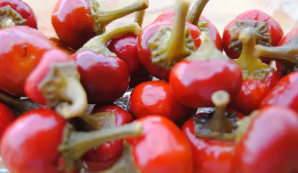Pimientos picantes cherry encurtidos