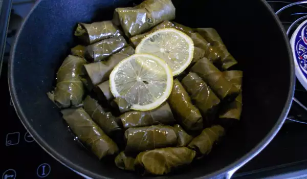 Rollitos de hoja de parra sin carne (cocina turca)