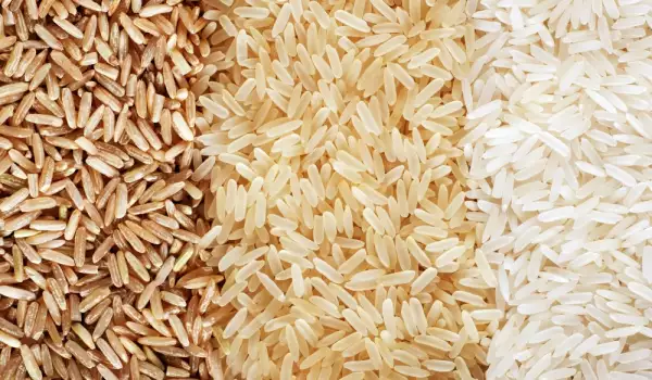 ¿El arroz contiene gluten?