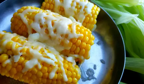 Mazorcas de maíz con mantequilla y queso