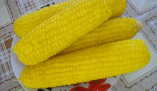 Mazorca de maíz cocida