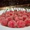 Cerezas azucaradas (falsas)