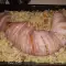 Conejo relleno envuelto en bacon
