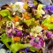 Ensalada con Violetas