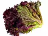 Lechuga Lollo Rosso - Propiedades y Beneficios