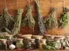 Las hierbas y especias más saludables