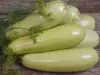 ¿Se pueden congelar los calabacines?