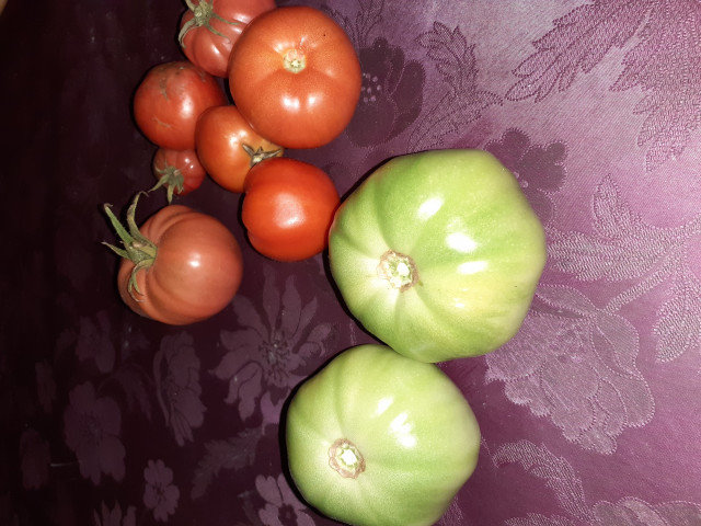 Mermelada de tomate verde